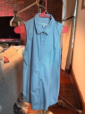 Abercrombie & Fitch Blue and White Pinstripe Sleeveless Button-Up Shirt Dress